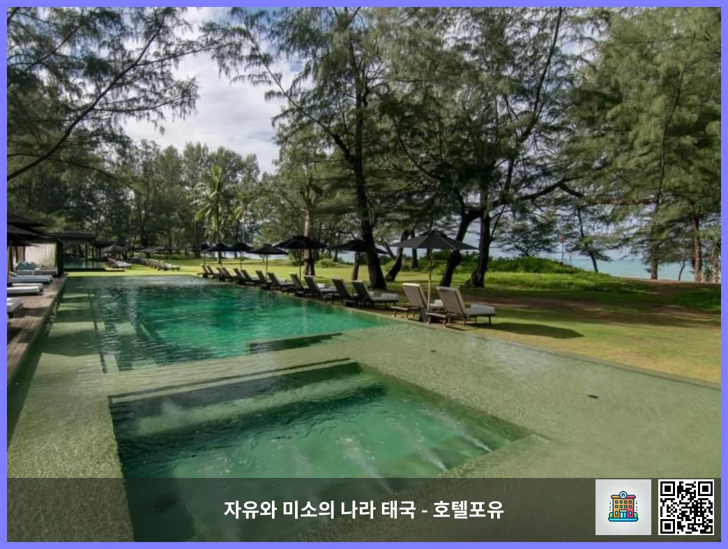 Swimming pool [outdoor]