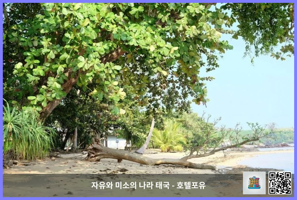 호텔 이미지