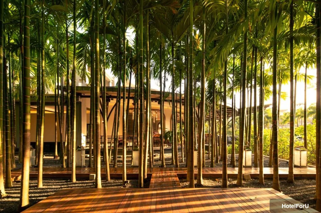 Areca Resort & Spa - Lobby