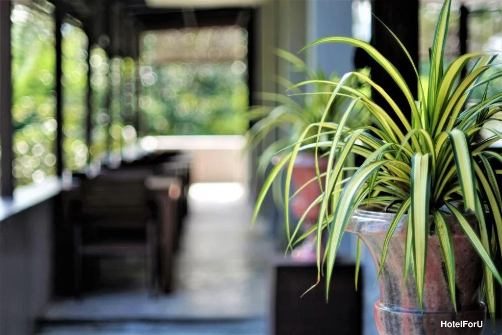 Yoma Hotel - Facilities