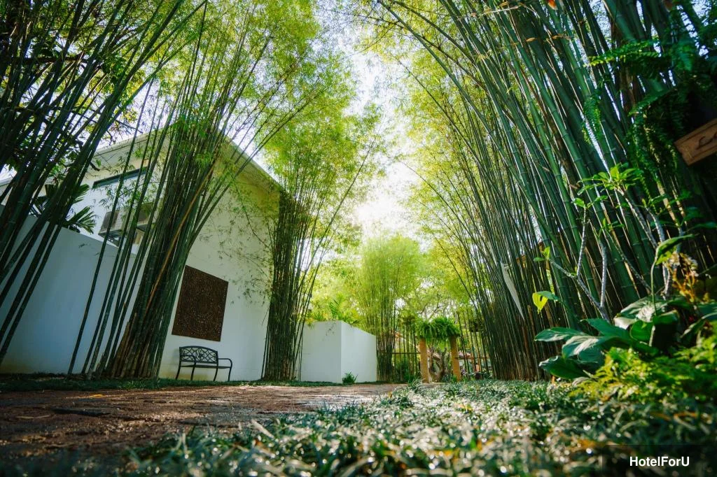 Mango T. Villa Chiang Mai Resort - View