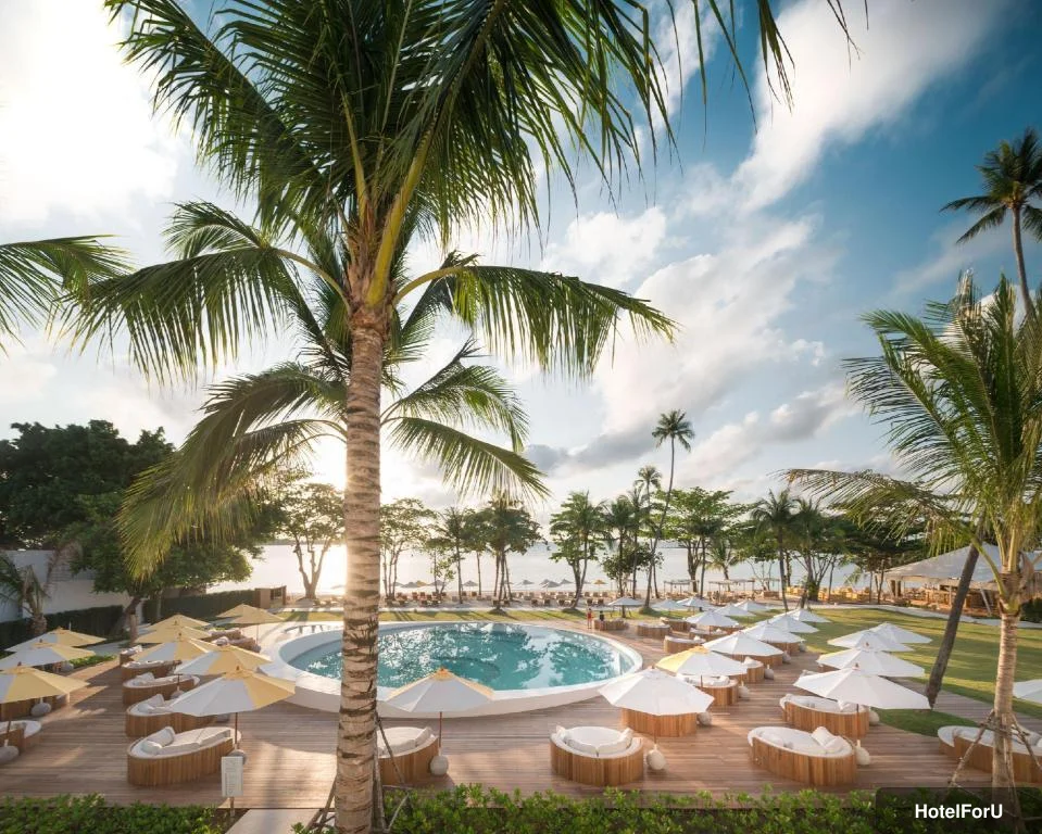 SALA Samui Chaweng Beach Resort - Swimming pool [outdoor]