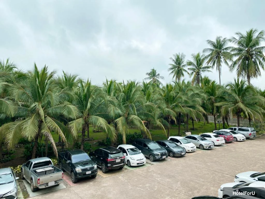 The Coconut Hotel hotel photo 5